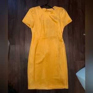 Calvin Klein Suede-Like Dress size 10